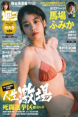 追龙粤语版在线观看